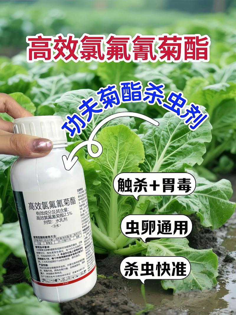 荆州代生中心:农药对供卵代生妈妈的危害